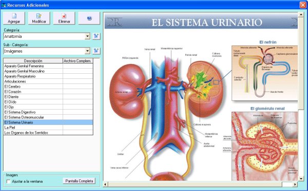 Recursos Adicionales